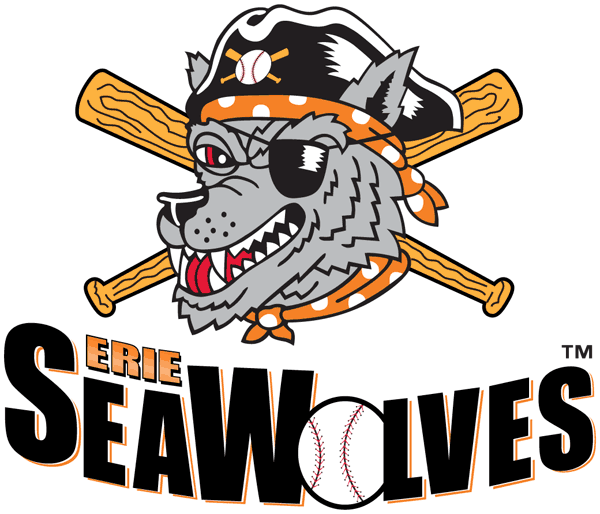 Erie SeaWolves 1999-pres primary logo iron on transfers for T-shirts